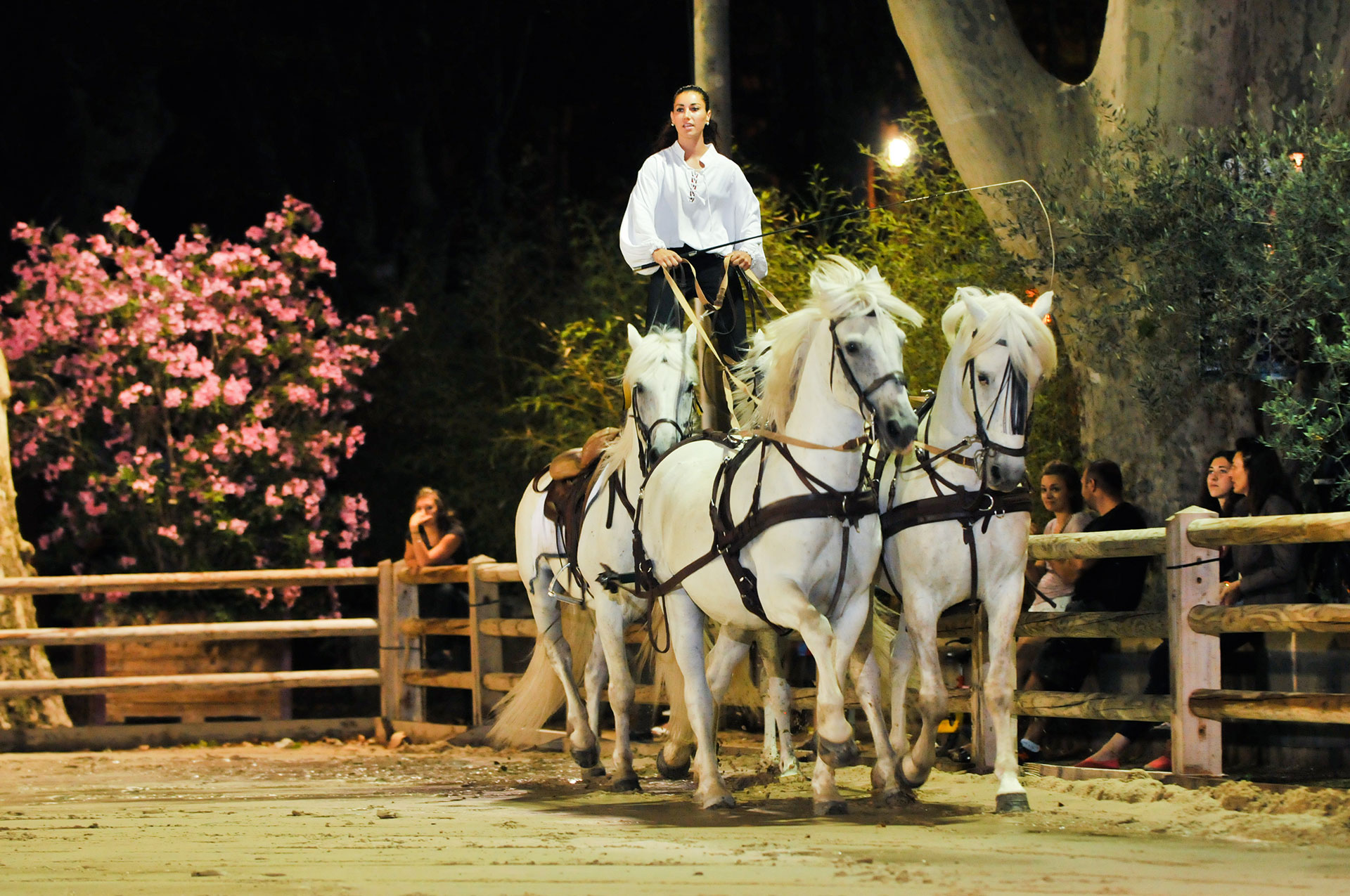 site de rencontre equestre