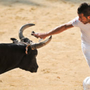 Course camarguaise